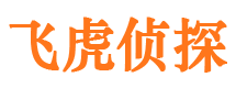 船山外遇调查取证